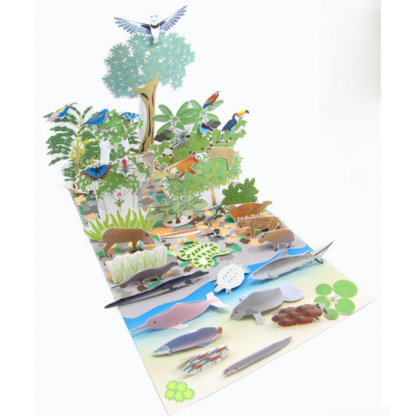 Teach the biodiversity of the Amazon Rainforest with our new model!