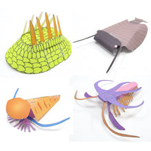 Load image into Gallery viewer, Burgess Shale