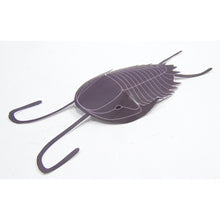 Load image into Gallery viewer, Burgess Shale