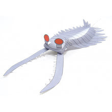 Load image into Gallery viewer, Burgess Shale