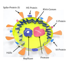 Load image into Gallery viewer, coronavirus origami organelle
