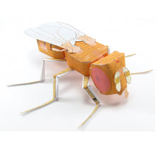 Load image into Gallery viewer, fruit fly origami organelle