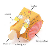 Load image into Gallery viewer, fruit fly origami organelle