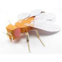 Load image into Gallery viewer, fruit fly origami organelle