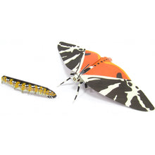 Load image into Gallery viewer, Jersey Tiger Moth Origami Organelle