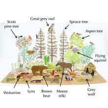 Load image into Gallery viewer, taiga ecosystem origami organelle