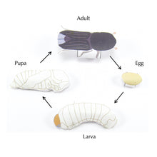 Load image into Gallery viewer, bark beetles origami organelle