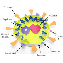 Load image into Gallery viewer, coronavirus origami organelle spanish