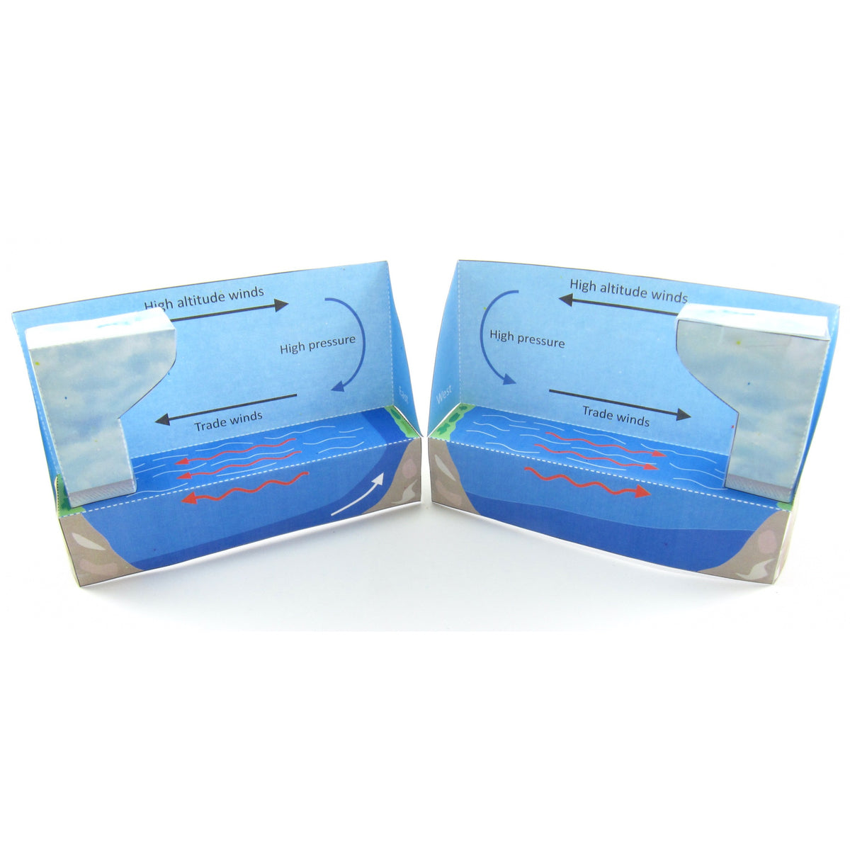 elninoweb1_1200x1200.jpg?v=