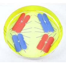 Load image into Gallery viewer, meiosis origami organelle