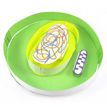 Load image into Gallery viewer, mitosis & cell cycle origami organelle