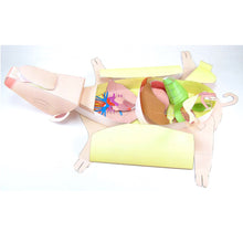 Load image into Gallery viewer, fetal pig dissection origami organelle