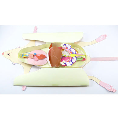 rat dissection origami organelle