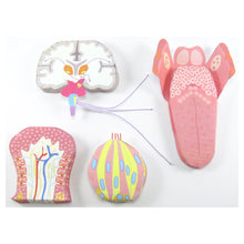 Load image into Gallery viewer, sense of taste origami organelle