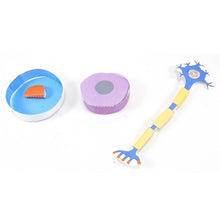 Load image into Gallery viewer, Simple stem cells origami organelle