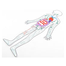 Load image into Gallery viewer, your body's defences origami organelle