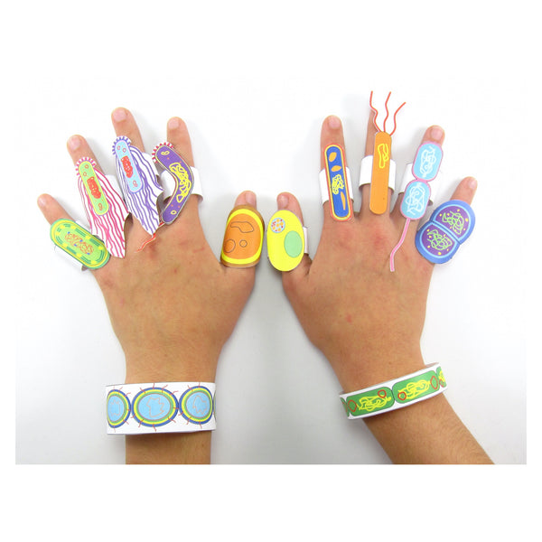 Bring bacteria to life with our paper bacteria rings!