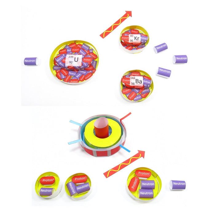 Origami Organelles - Downloadable Paper Models for Teaching Science