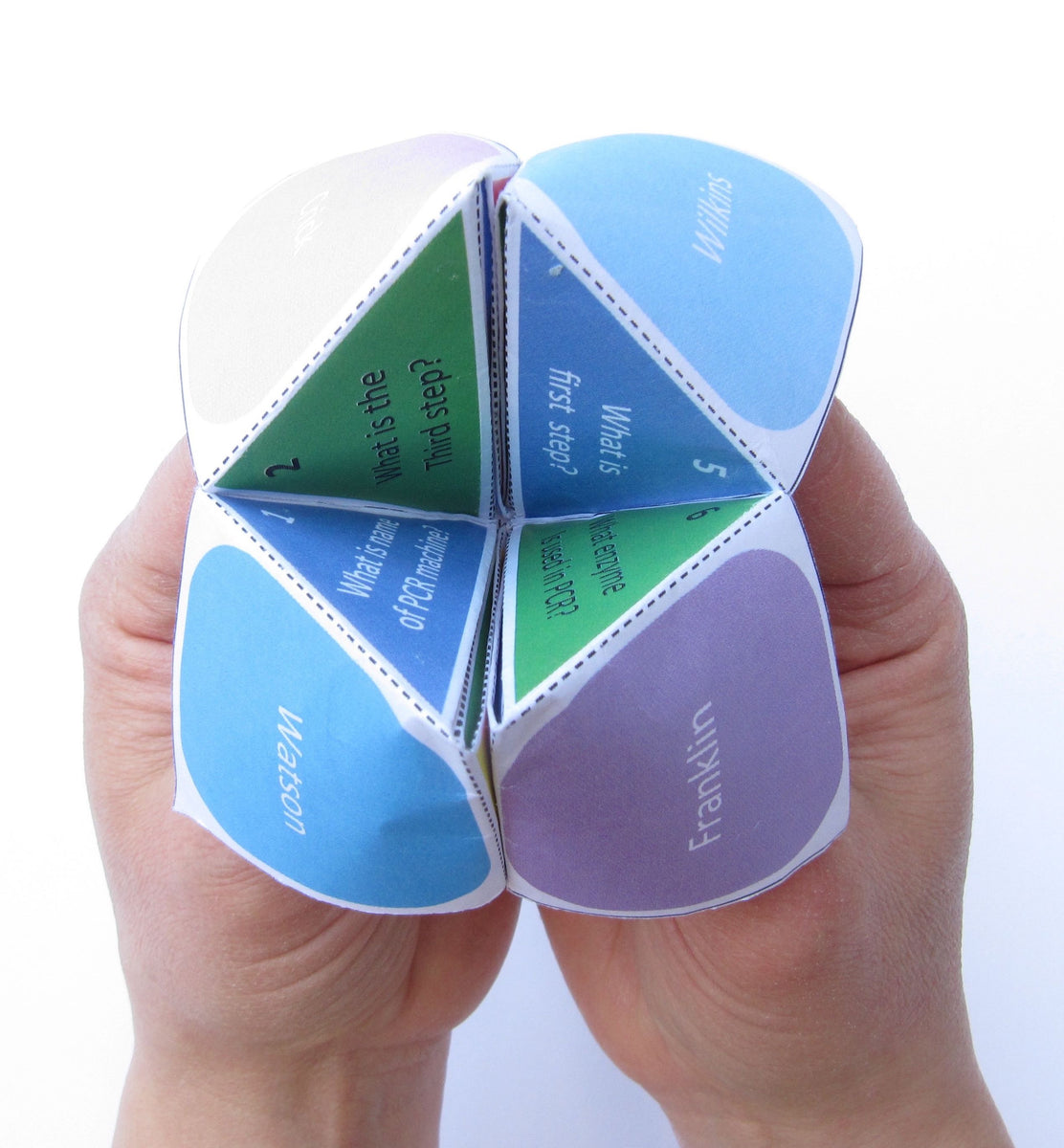 What are Revisomatics? – Origami Organelles