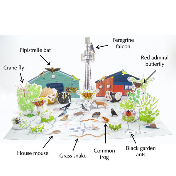 New Urban UK Ecosystem Model!
