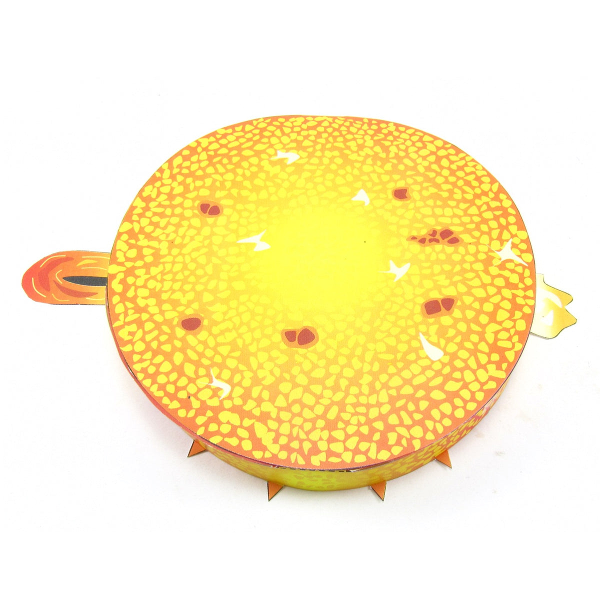 Key Stage 3 Science – Origami Organelles