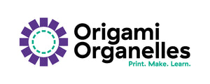 Origami Organelles