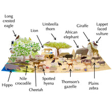 Load image into Gallery viewer, African savanna ecosystem origami organelle

