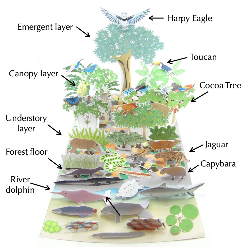 What is Biodiversity?