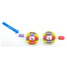 Load image into Gallery viewer, carbon dating origami organelle
