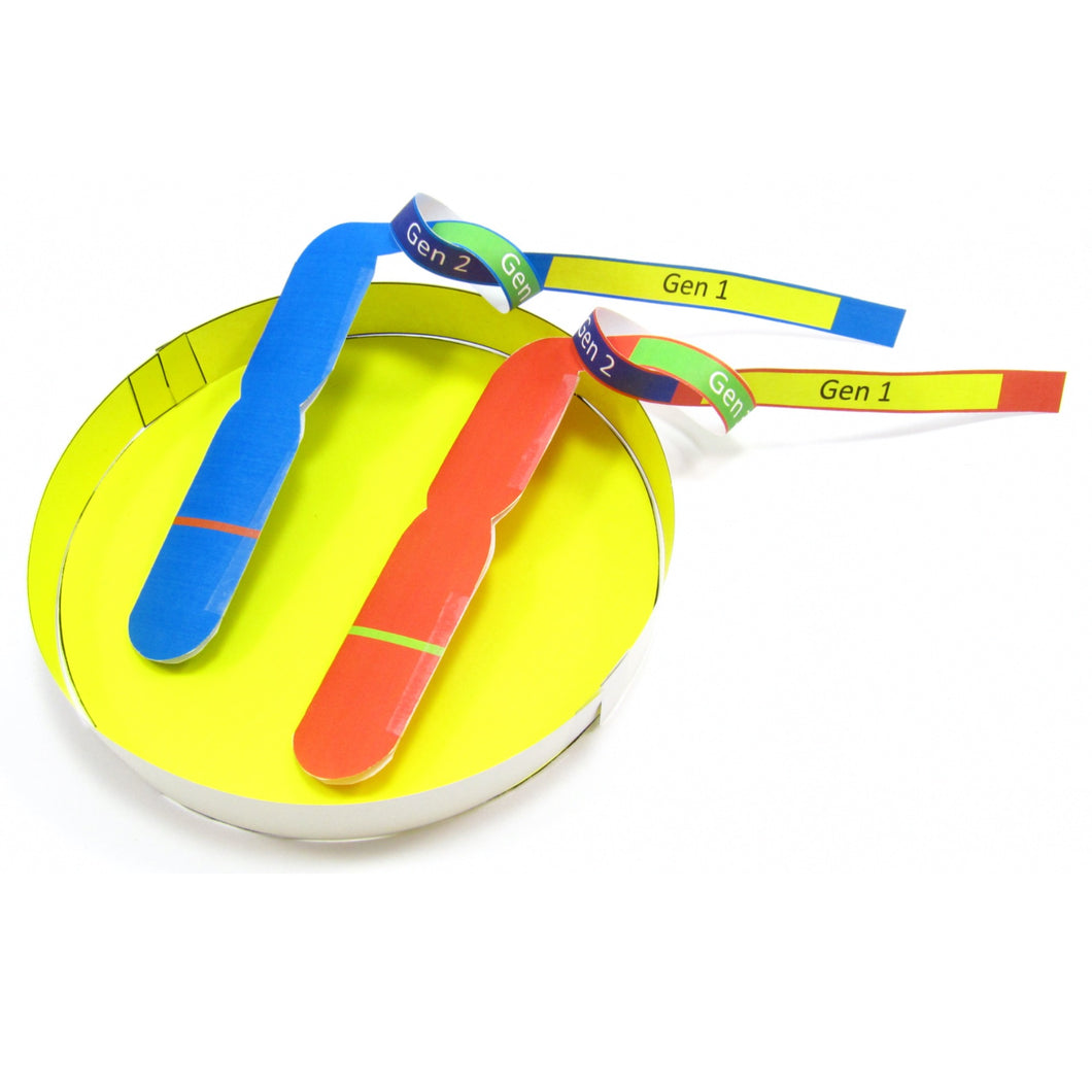 chromosomes origami organelle German