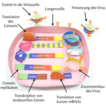 Load image into Gallery viewer, origami organelle coronavirus life cycle german
