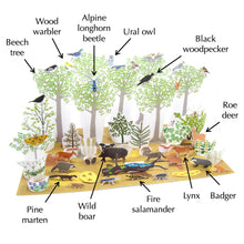 Load image into Gallery viewer, European beech forest ecosystem origami organelle
