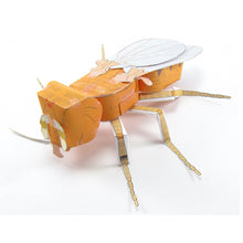Load image into Gallery viewer, fruit fly origami organelle
