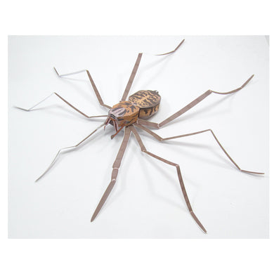 giant house spider origami organelle