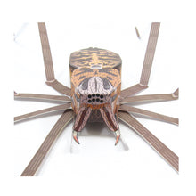 Load image into Gallery viewer, giant house spider origami organelle
