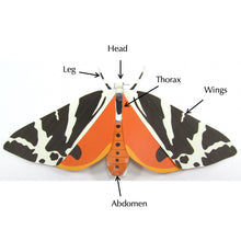 Load image into Gallery viewer, Jersey Tiger Moth Origami Organelle
