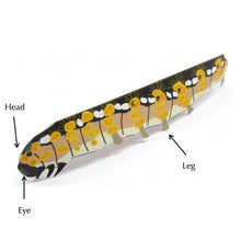 Load image into Gallery viewer, Jersey Tiger Moth Origami Organelle

