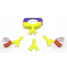 Load image into Gallery viewer, monoclonal antibodies origami organelle German
