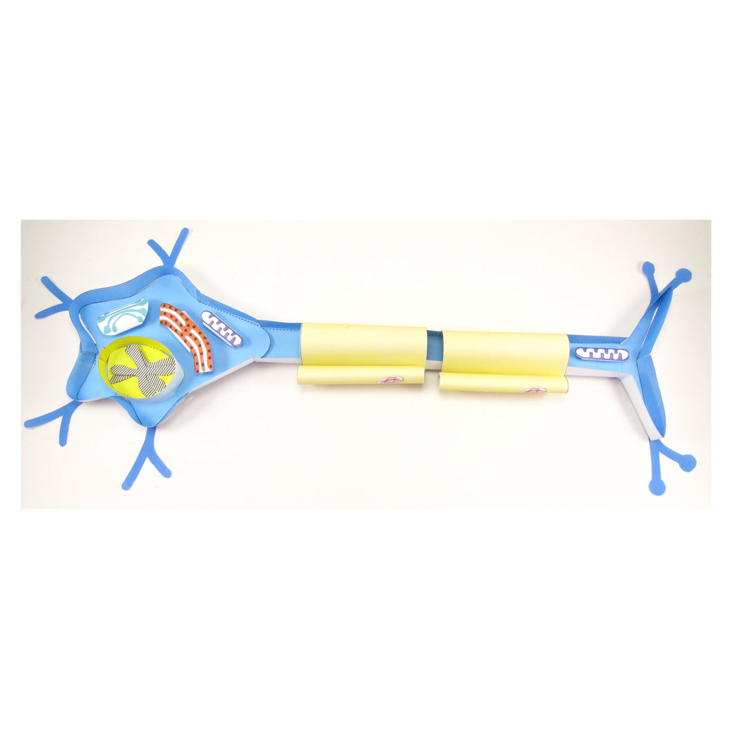 Nerve cell origami organelle