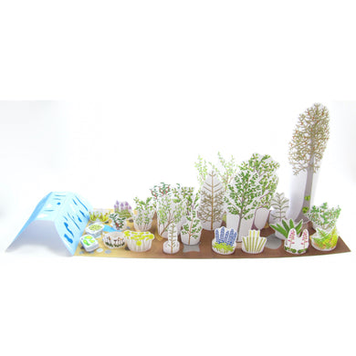 Primary succession Origami Organelle