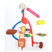 Load image into Gallery viewer, science of weight loss drugs origami organlelle
