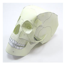 Load image into Gallery viewer, skull origami organelle
