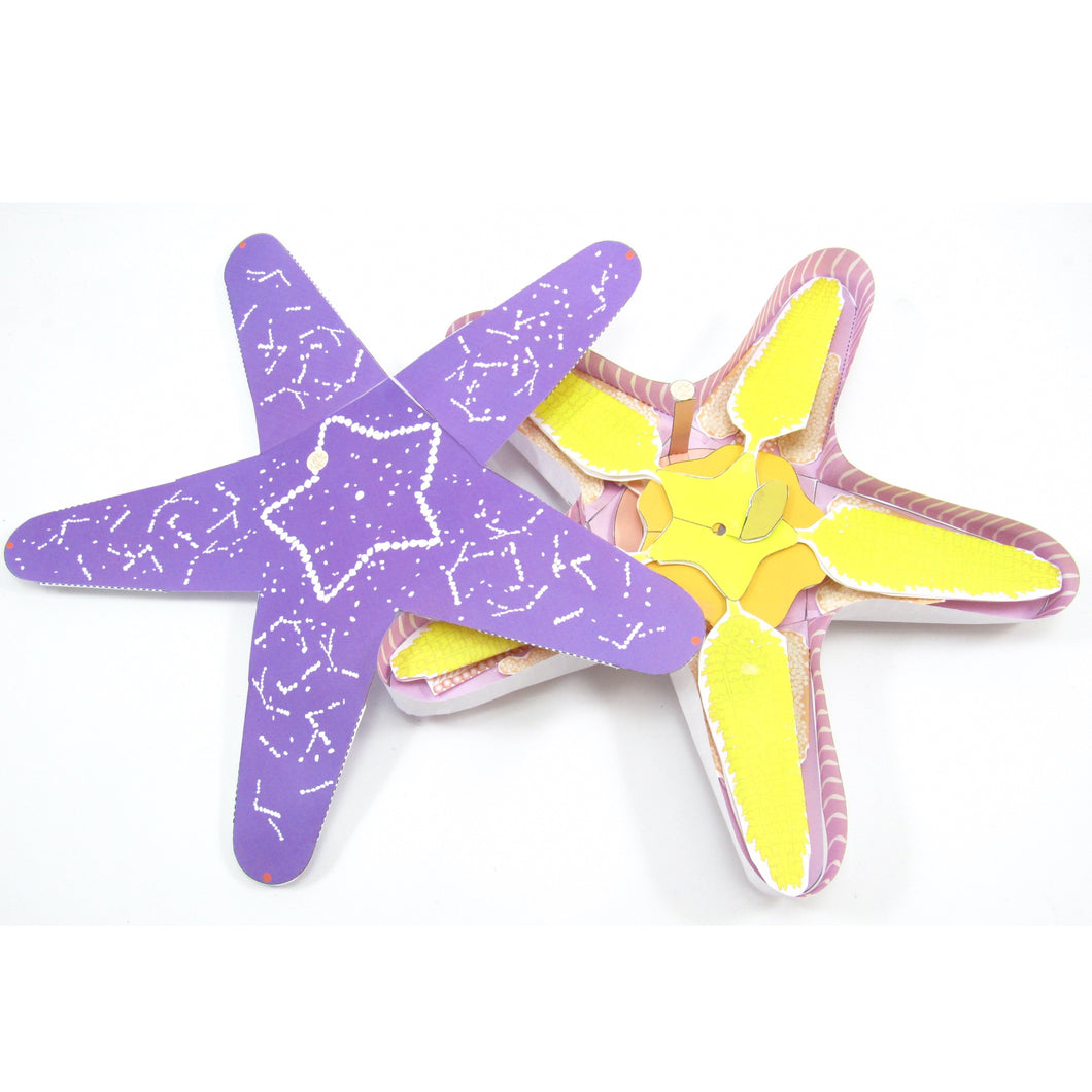 Starfish Dissection Origami Organelles