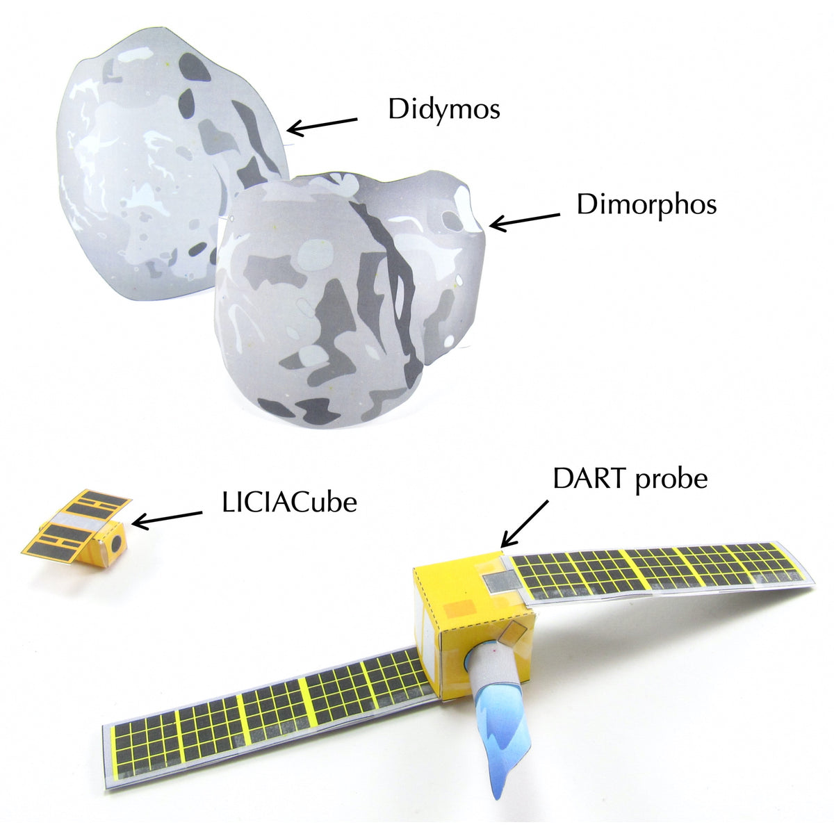 DART Mission – Origami Organelles
