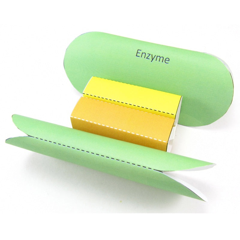 enzymes origami organelle