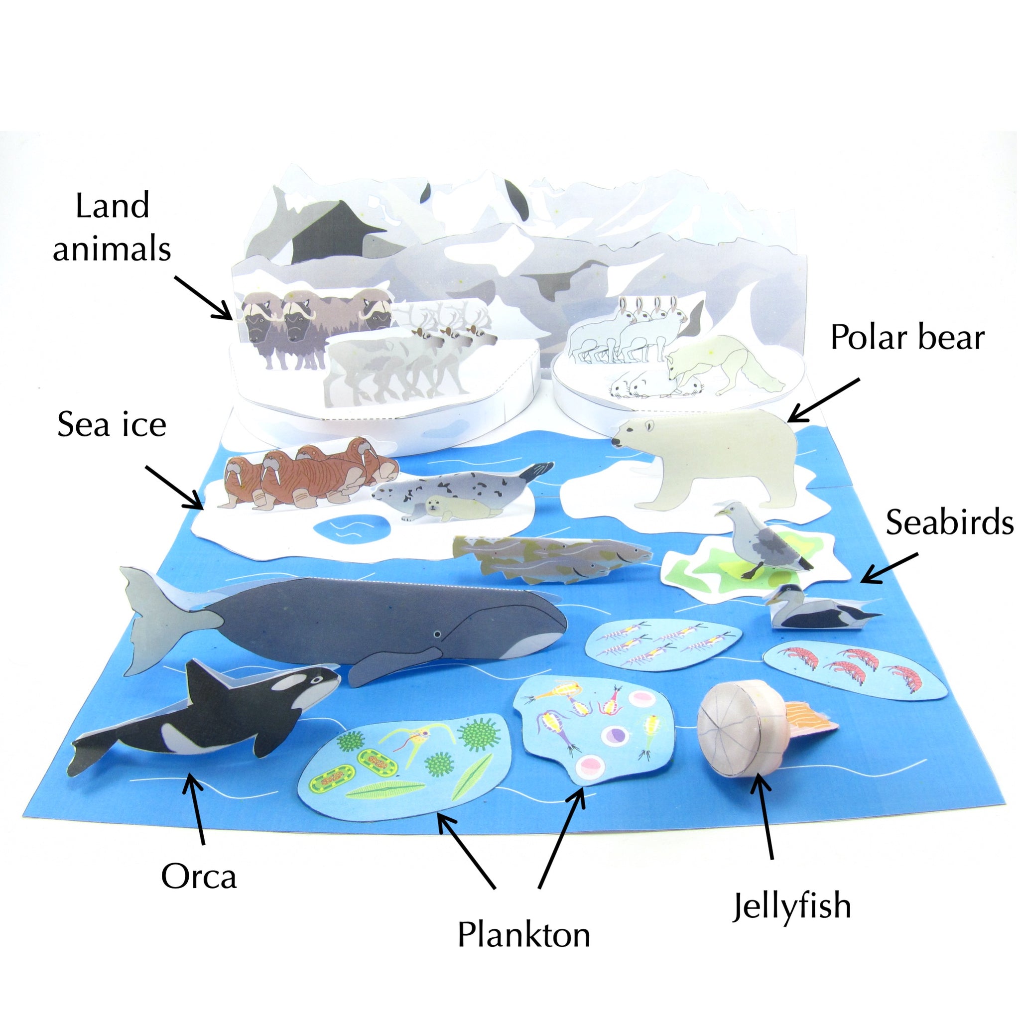 Discover Yellowstone'S Secret Ecosystem: The Complete Food Web - c74tjtv