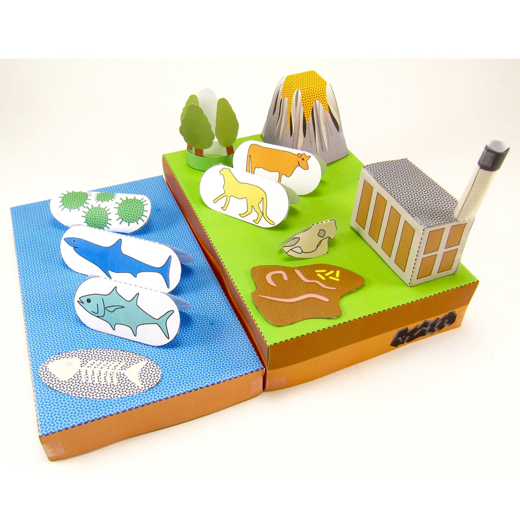 carbon cycle origami organelle