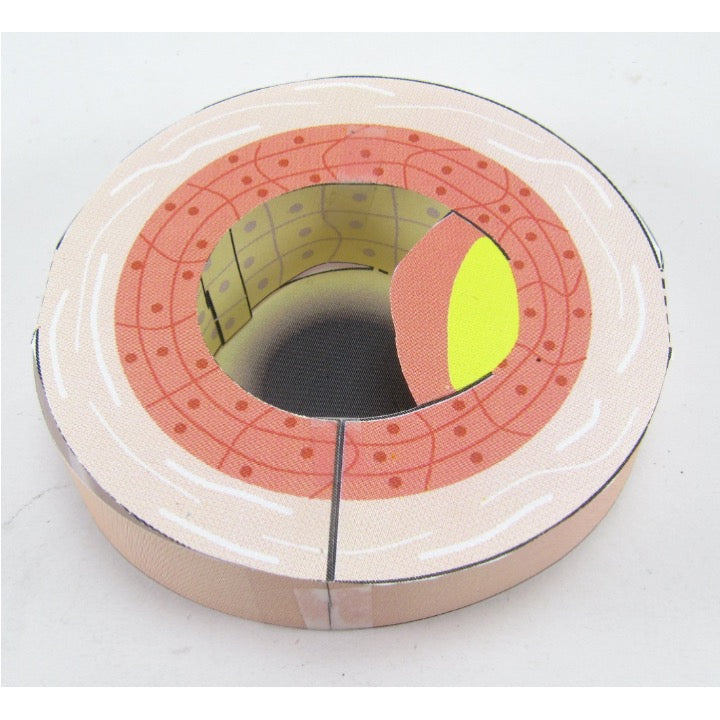 Cardiovascular Disease – Origami Organelles