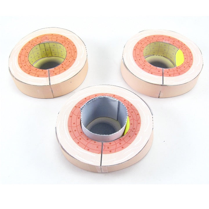 Cardiovascular Disease – Origami Organelles