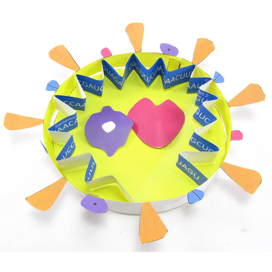 coronavirus origami organelle